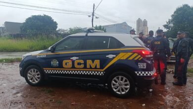Foto: GCMGO/Divulgação