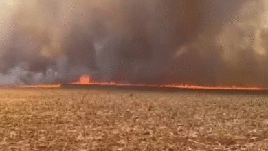 Incêndio em Pirenópolis
