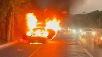 Carro pega fogo e motorista resgata mãe e bebê na Marginal Botafogo