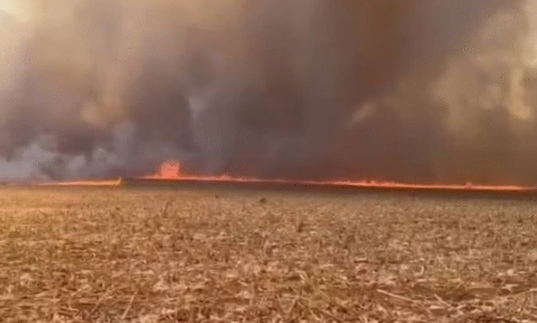 Incêndio em Pirenópolis