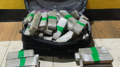 Casal é preso com 80 pacotes de maconha na GO-060