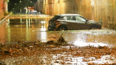 Chuvas ganham força e calor perde intensidade em Goiás, aponta previsão