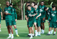 Goiás tenta se manter vivo na briga pelo acesso