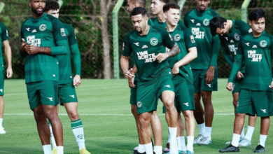 Goiás tenta se manter vivo na briga pelo acesso