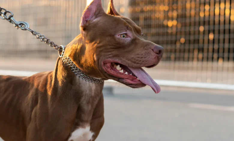 Foto: Reprodução - Freepik