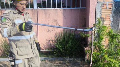 Divulgação: Bombeiros