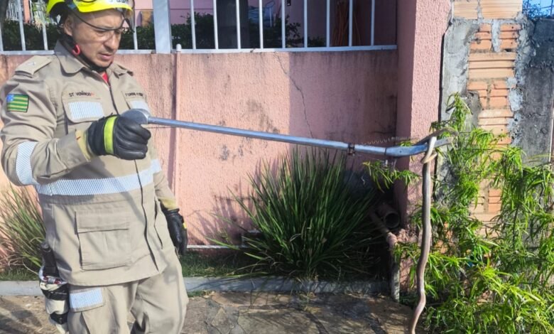 Divulgação: Bombeiros