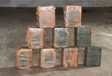 PF faz operação contra tráfico interestadual após cocaína ser achada em caminhão de melancias em Goiás