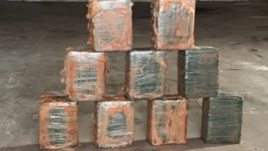 PF faz operação contra tráfico interestadual após cocaína ser achada em caminhão de melancias em Goiás
