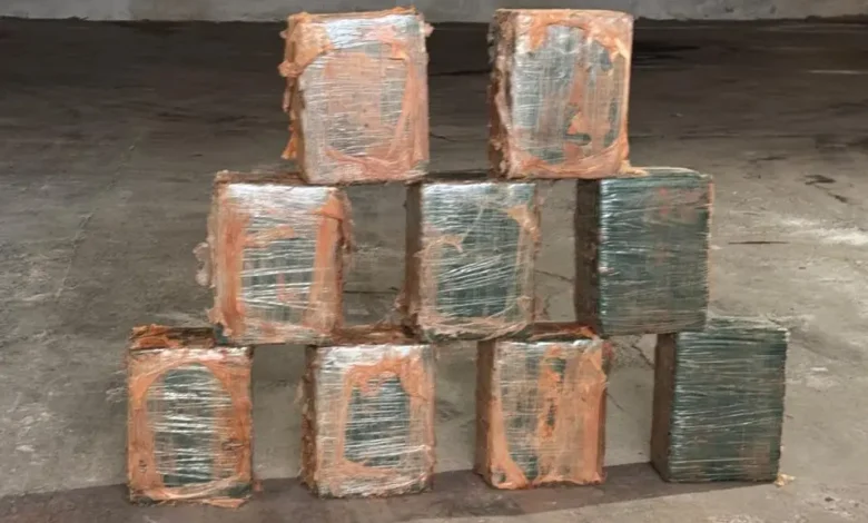 PF faz operação contra tráfico interestadual após cocaína ser achada em caminhão de melancias em Goiás