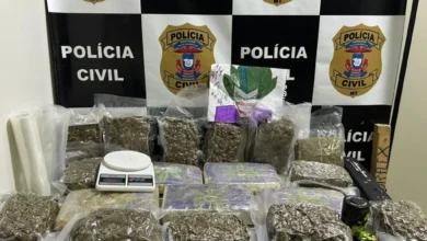 Polícia mira grupo que movimentou R$ 4,8 milhões em fraudes bancárias