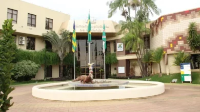 Foto: Divulgação/Câmara Municipal de Goiânia