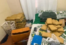 Carga de skunk avaliada em R$ 1,5 milhão é apreendida em depósito clandestino em Aparecida