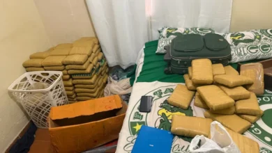 Carga de skunk avaliada em R$ 1,5 milhão é apreendida em depósito clandestino em Aparecida