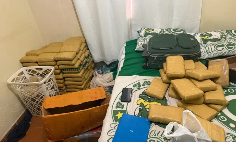 Carga de skunk avaliada em R$ 1,5 milhão é apreendida em depósito clandestino em Aparecida