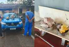 Homens embriagados furtaram galinhas caipiras, pequi e até gelo em propriedade rural de Goiás