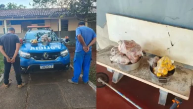 Homens embriagados furtaram galinhas caipiras, pequi e até gelo em propriedade rural de Goiás