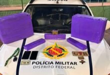 Homem é preso suspeito de transportar 47kg de maconha, no Distrito Federal (Foto: Divulgação)
