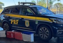 Homem é preso com 100kg de maconha na BR-153, em Morrinhos (Foto: PRF)