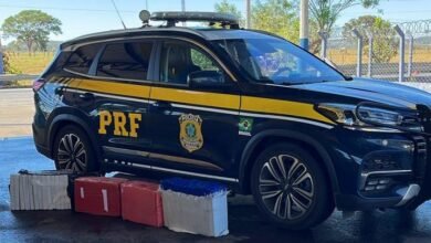 Homem é preso com 100kg de maconha na BR-153, em Morrinhos (Foto: PRF)