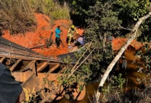 Motorista desaparecido é encontrado morto em ribanceira após família refazer trajeto em Cristalina