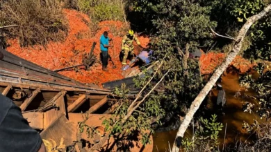 Motorista desaparecido é encontrado morto em ribanceira após família refazer trajeto em Cristalina
