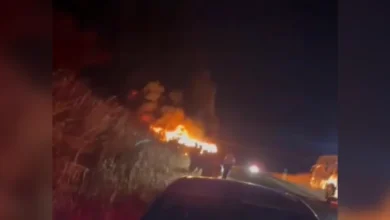Ônibus pega fogo na BR-040 após desviar de caminhão na contramão em Cristalina