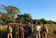 PM prende piloto de avião com 325 quilos de cocaína após usar faróis como armadilha em Goiás