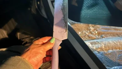 Confusão por som alto termina com quatro presos e policiais feridos em Anápolis