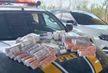 PRF apreende 2,2 mil ampolas de tirzepatida escondidas em carro na BR-060, em Guapó