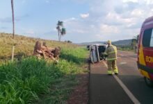 Casal de idosos de 88 anos morre após colisão entre caminhonetes na GO-221, em Goiás