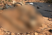 Ossada humana é encontrada perto de restos de caixão em aterro sanitário de Niquelândia