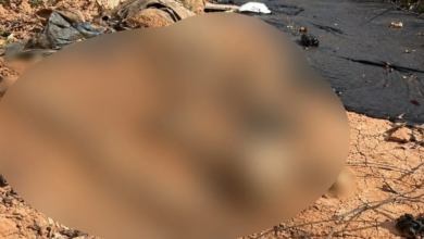 Ossada humana é encontrada perto de restos de caixão em aterro sanitário de Niquelândia