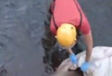 Suspeita de cadáver em córrego mobiliza bombeiros em Jataí