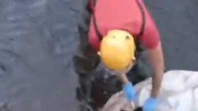 Suspeita de cadáver em córrego mobiliza bombeiros em Jataí
